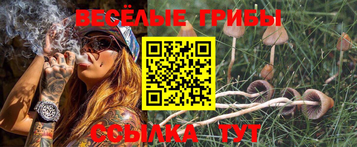 Псилоцибиновые грибы Magic Shrooms Белгород